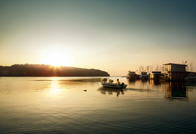 Markus Mueller - Portfolio 2009