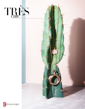 BREUNINGER - Still-Serie - 2016