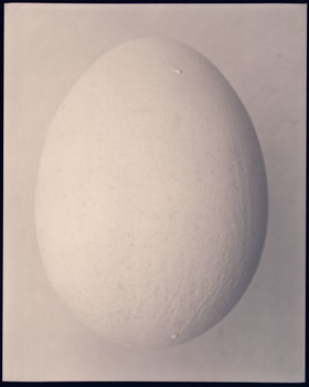 Ralph Mecke - VOGUE Germany - Ei - 03-2017