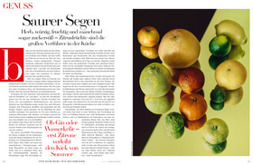 Ralph Mecke - VOGUE Deutsch - Zitrus - 08-2017