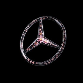 What makes a Mercedes-Benz a Mercedes-Benz? - Image Campaign